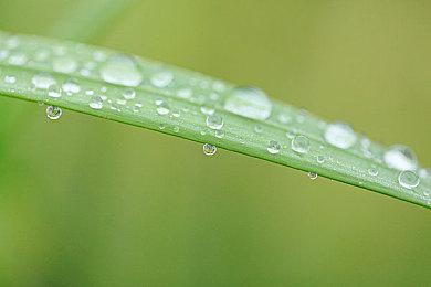 《无人深空》Switch 2版6月5日上线 支持DLSS与4K纹理